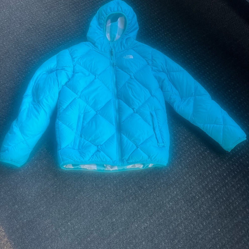 The North Face Kids Blue Hooded Winter Puffer 550 Jacket - Girls Size XL (18)